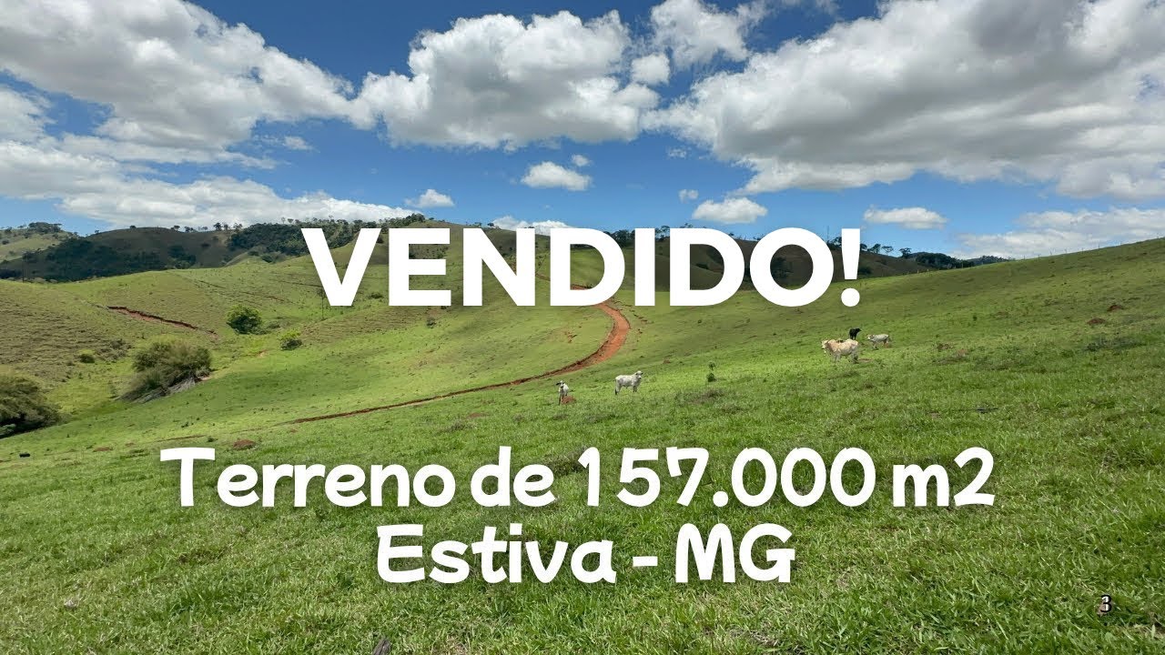 IDEAL para quem deseja CONSTRUIR um Sítio e investir na criação de Gado Leiteiro e Corte.