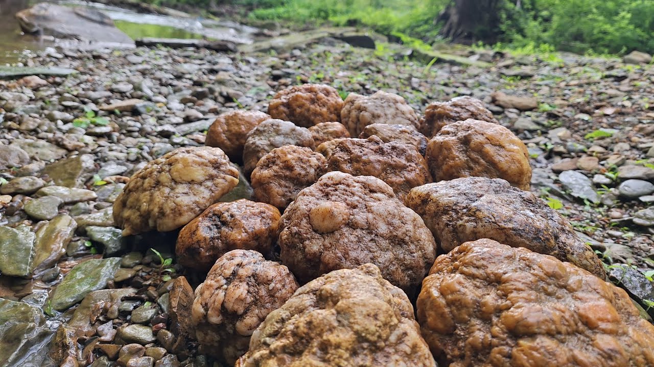 Exploring Southern Indiana forGeodes!