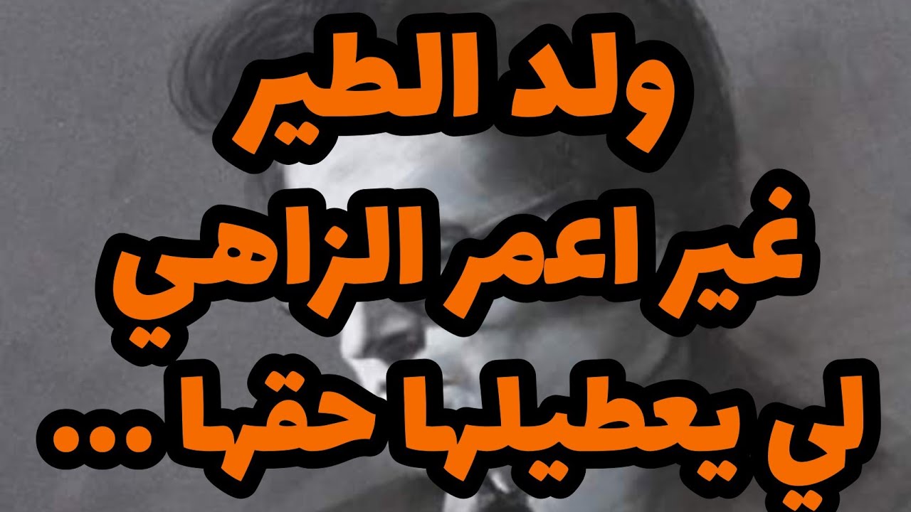ولد الطير .. غير اعمر الزاهي لي يعطيلها حقها و يخدمها بالشوق .... Amar ezzahi