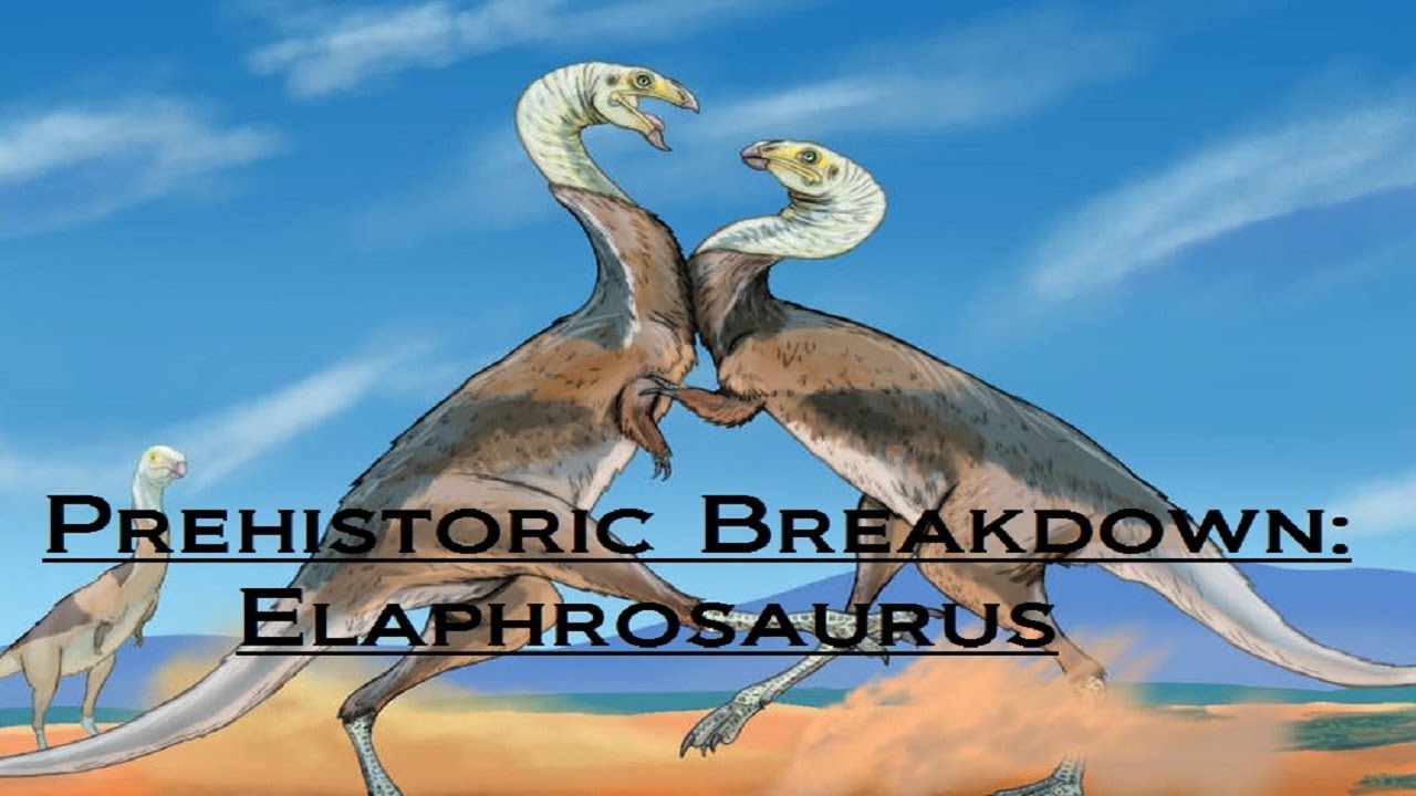 Prehistoric Breakdown: Elaphrosaurus