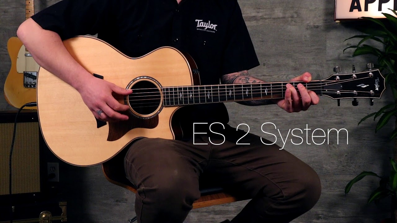Taylor Expression System 2 vs. K&K Pure Mini