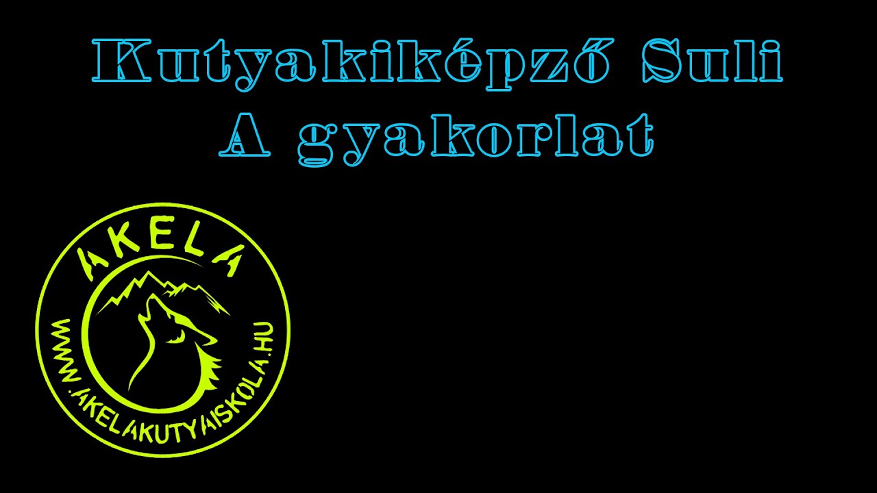 Akela kutyakiképző suli. Második rész / a gyakorlatról...