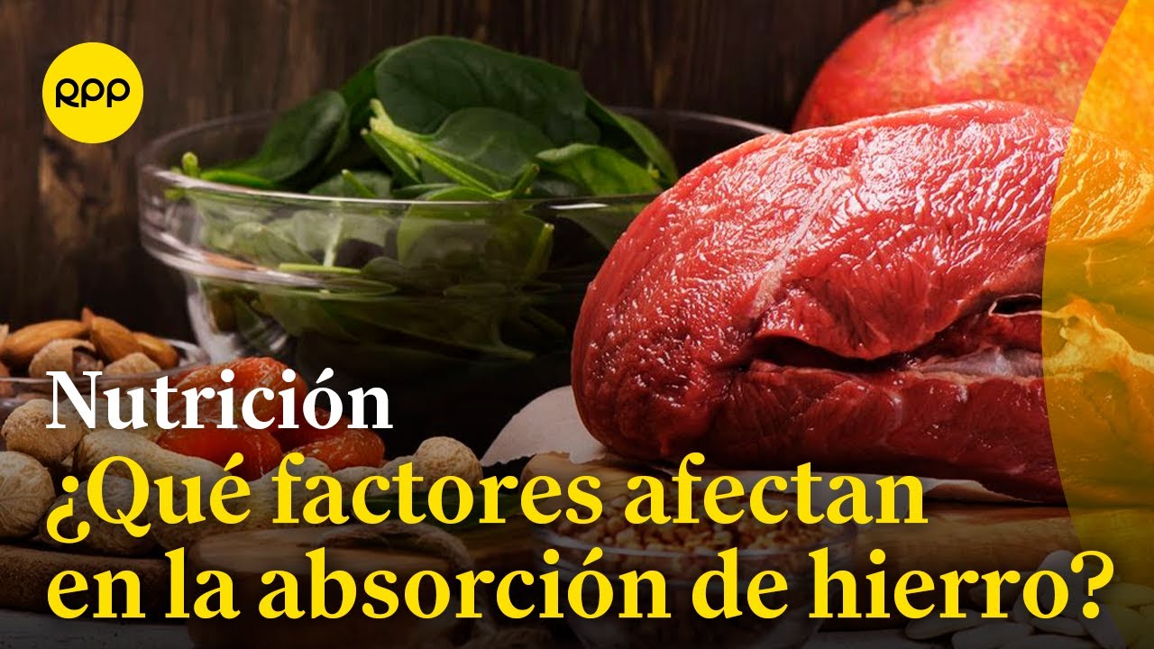 ¿Qué factores afectan a la absorción del hierro?