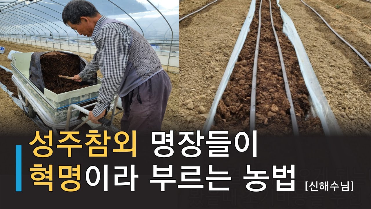 성주 참외 명장들이 혁명이라 부르는 농법 [농사비법 2편 - 참외]