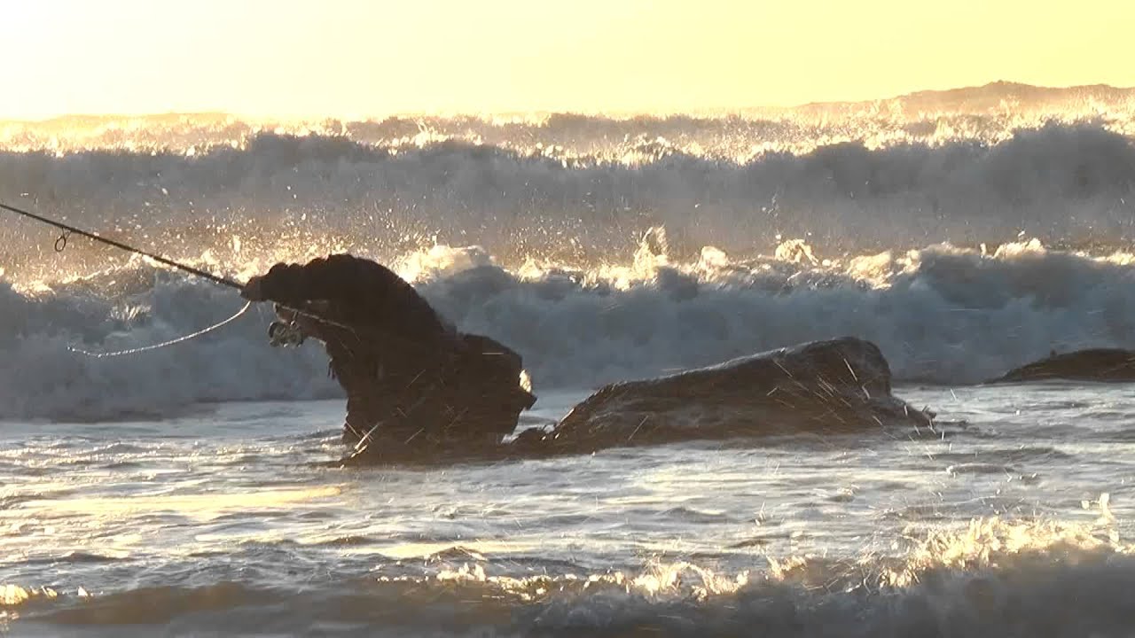 The One...Who is the best all time Montauk surfcaster?