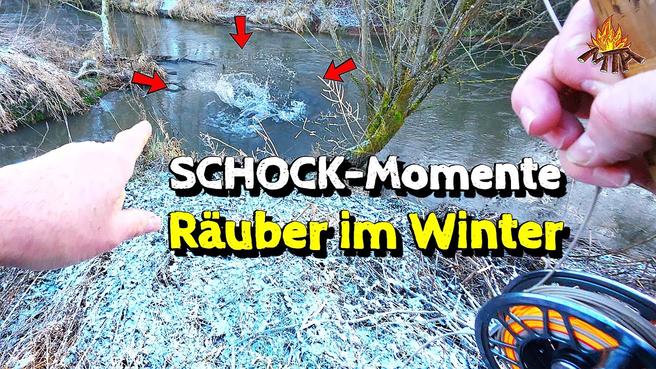 Fliegenfischen auf Hecht bei Minusgraden – Attacken aus dem Nichts!