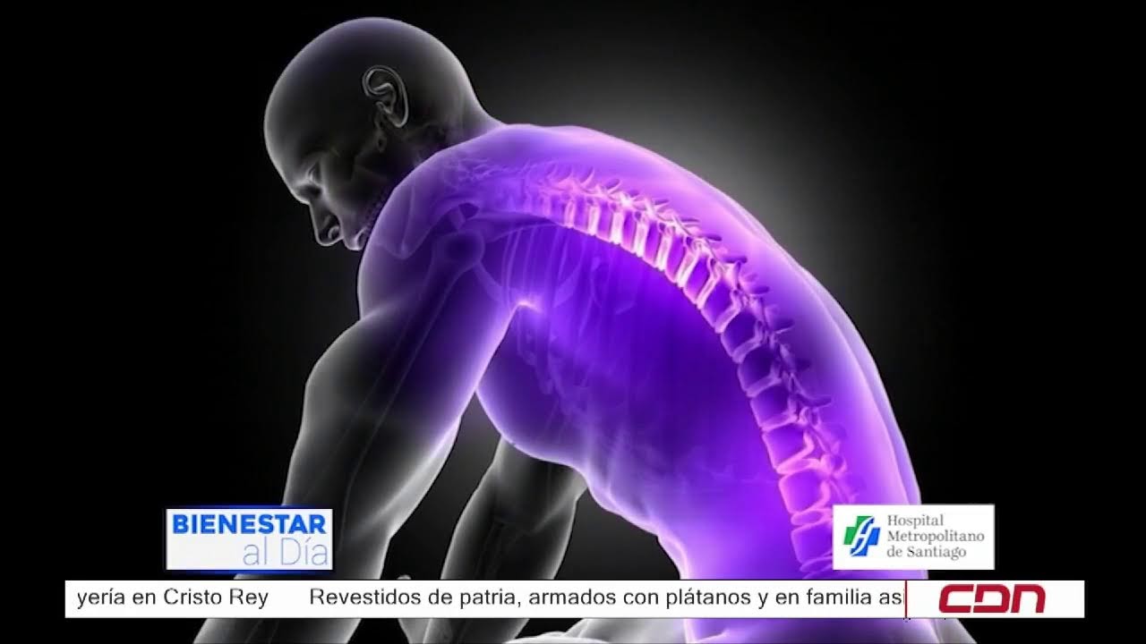 BIENESTAR AL DIA