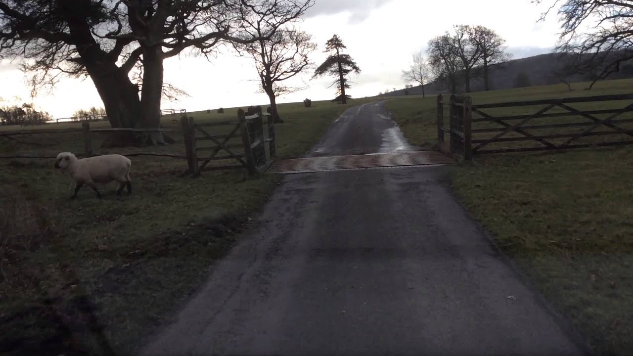 Wiston House drive