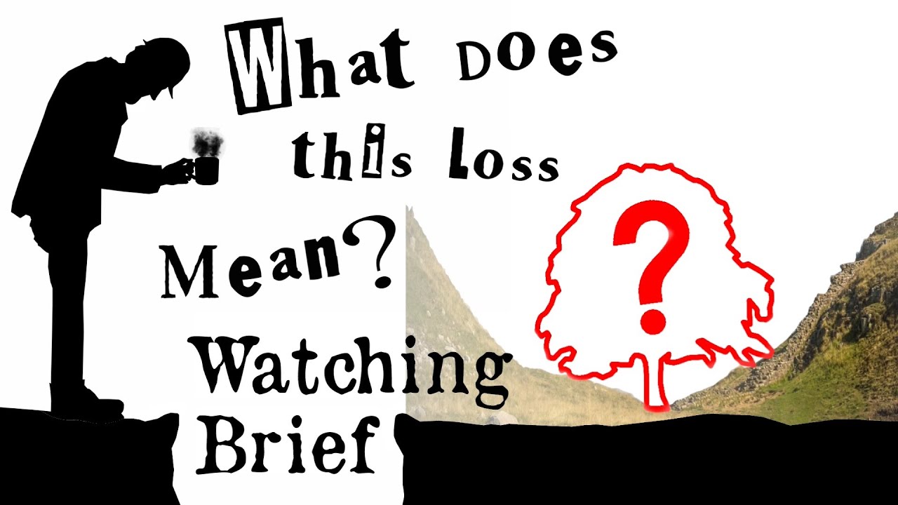 Exploring the Inexplicable? | Archaeologists Discuss Felling of Sycamore Gap Tree  &ndash; 7th Oct 2023