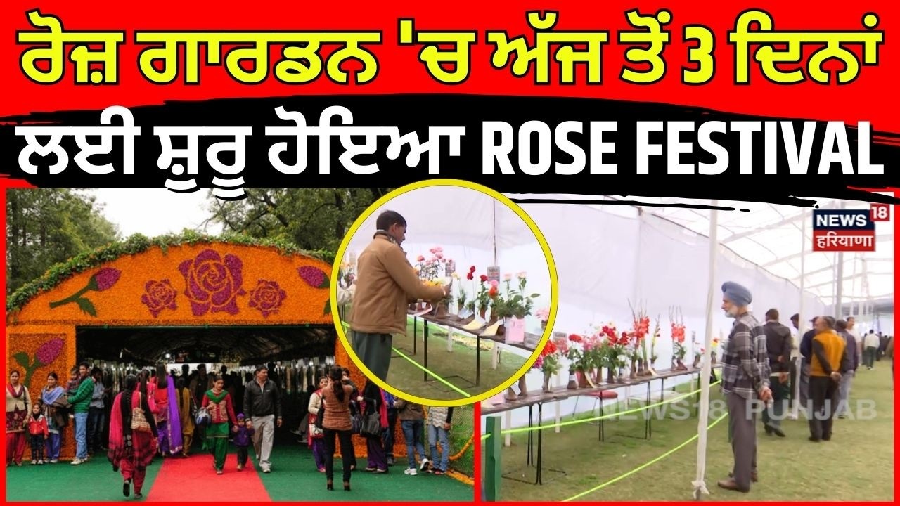 Rose Garden 'ਚ ਲੱਗੀਆਂ ਰੌਣਕਾਂ, ਸ਼ੁਰੂ ਹੋਇਆ ROSE FESTIVAL, ਗੁਲਾਬਾਂ ਨਾਲ ਮਹਿਕੀ ਸਿਟੀ ਬਿਊਟੀਫੁੱਲ | Chandigarh