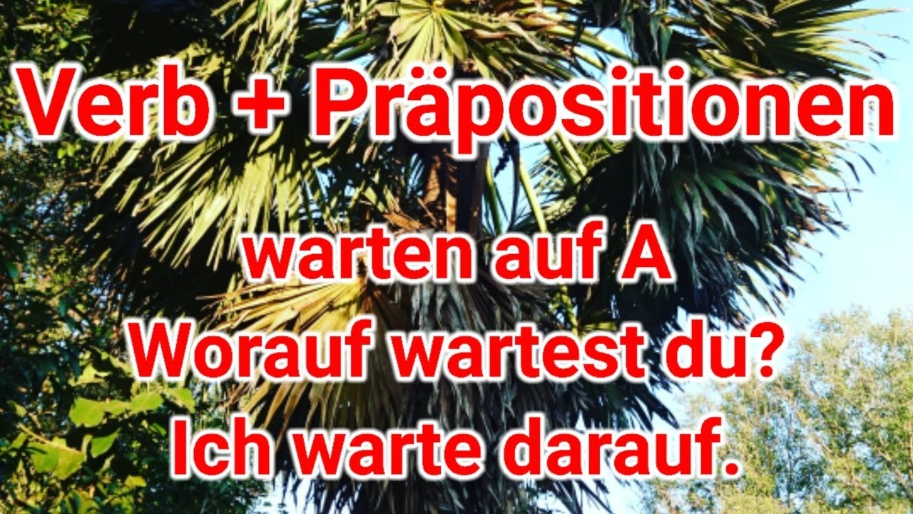 Deutsche Verben mit Präpositionen, warten auf, worauf, darauf, Angst haben vor, wovor, davor, Akkusa