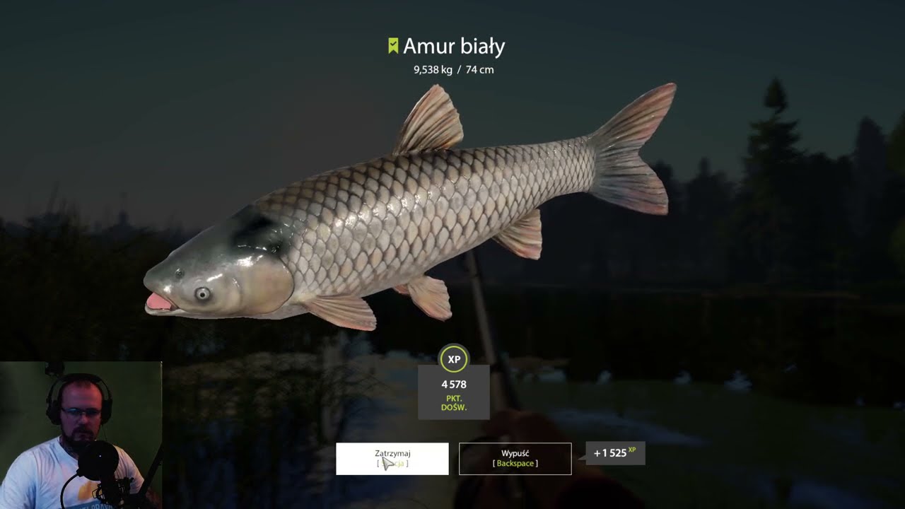 Russian Fishing 4 : Stary Gród miks białej ryby karp, lin, karaś, płoć