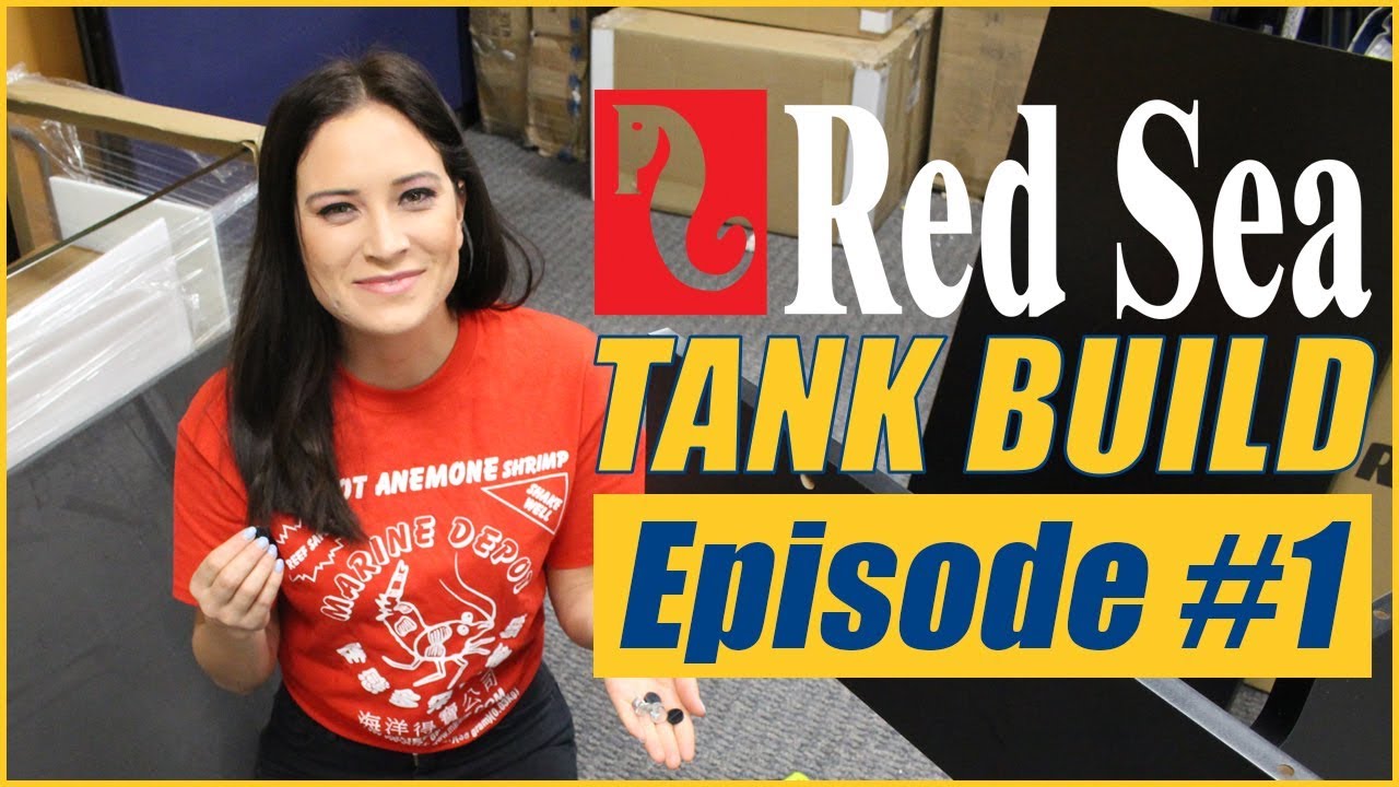 Reefer Deluxe 525 XL Tank Build #1 - LET'S BUILD A TANK!!!