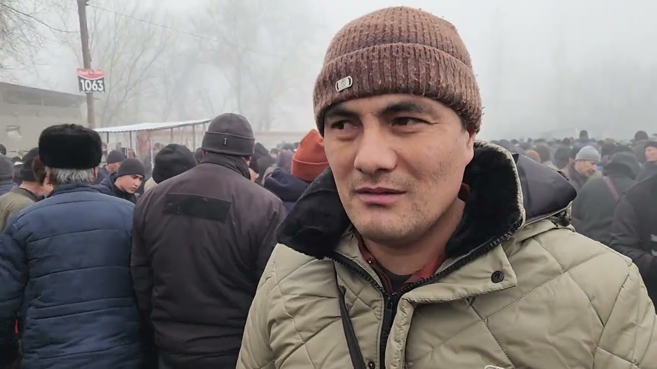 20 Январ. Дурмонча куйлари баракалар куп булди юрди 2026.йил куй бозори .#водий #rek 