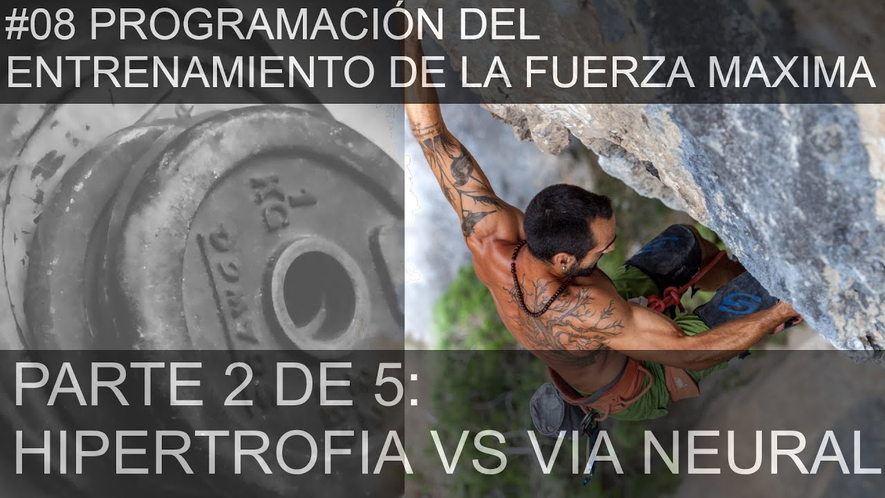 #08(2) PROGRAMACION DEL ENTRENAMIENTO DE LA FUERZA MAXIMA: HIPERTROFIA VS VIA NEURAL