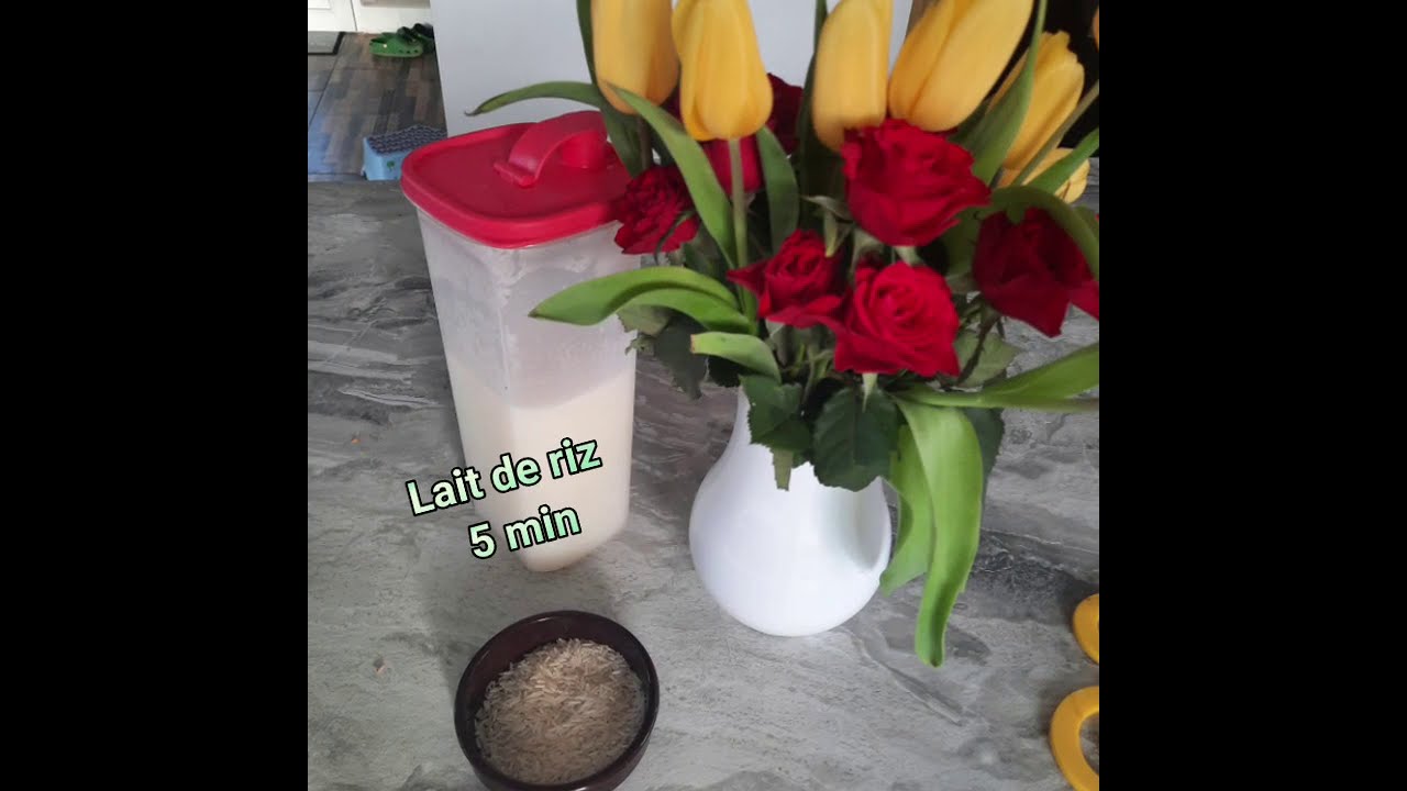 Lait de riz végetal au thermomix by Julie Jb conseillère Culinaire. Sans gluten sans lactose