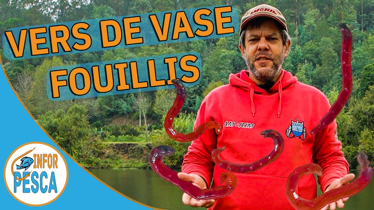 Vers de vase e fouillis - preparar, usar e conservar