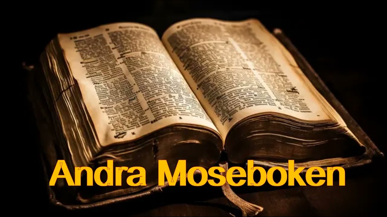 02. (Swedish) Ljudbibeln. Gamla testamentet. Andra Moseboken