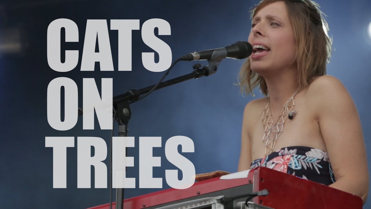 Cats On Trees - Sirens call
