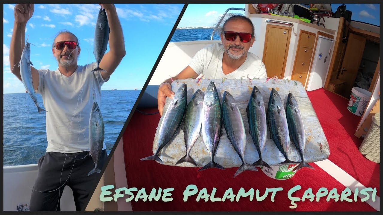 En İdeal Palamut Çaparisi
