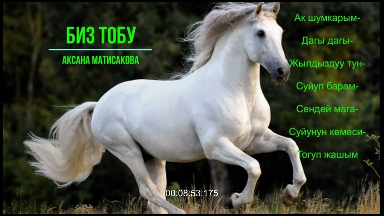 Биз тобу Аксана Матисакова