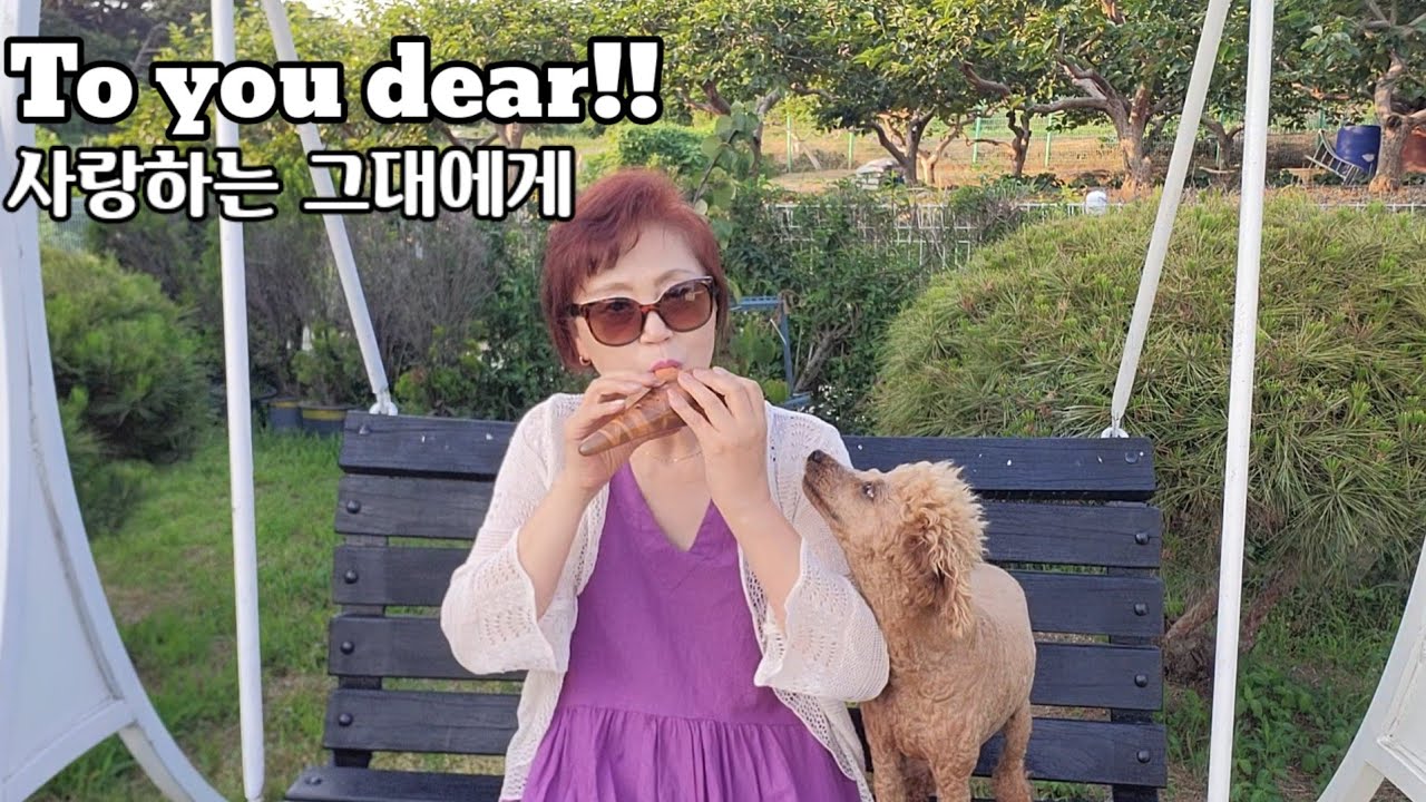 #사랑하는그대에게#오카리나연주/윤정희
