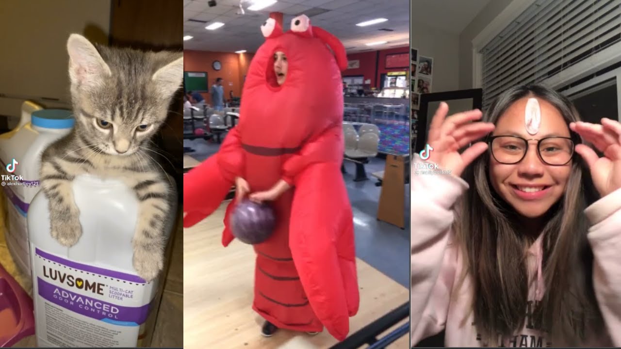 Tik Toks That Are From The Funny Side Of TikTok