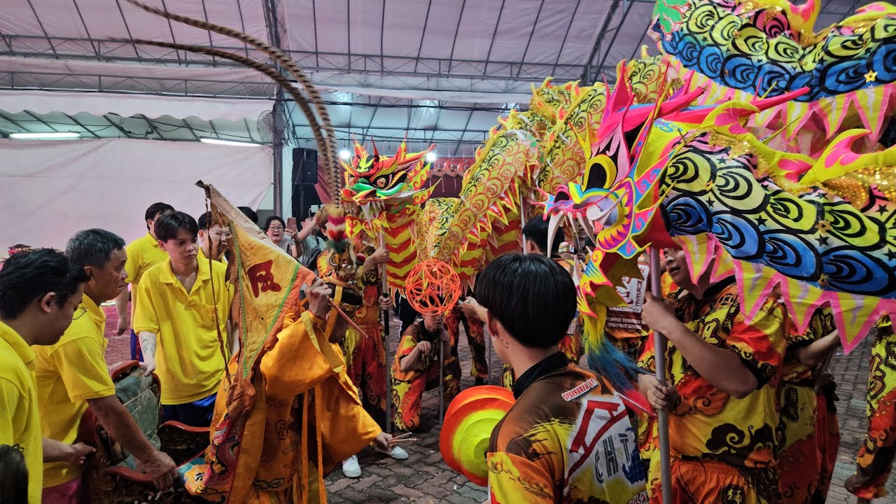 獅城揚威文化團祥龍, 南獅高桩表演 Singapore Yang Wei Lion on High Poles & Dragon Dance Performances @善府宫聖佛堂 26/12/24