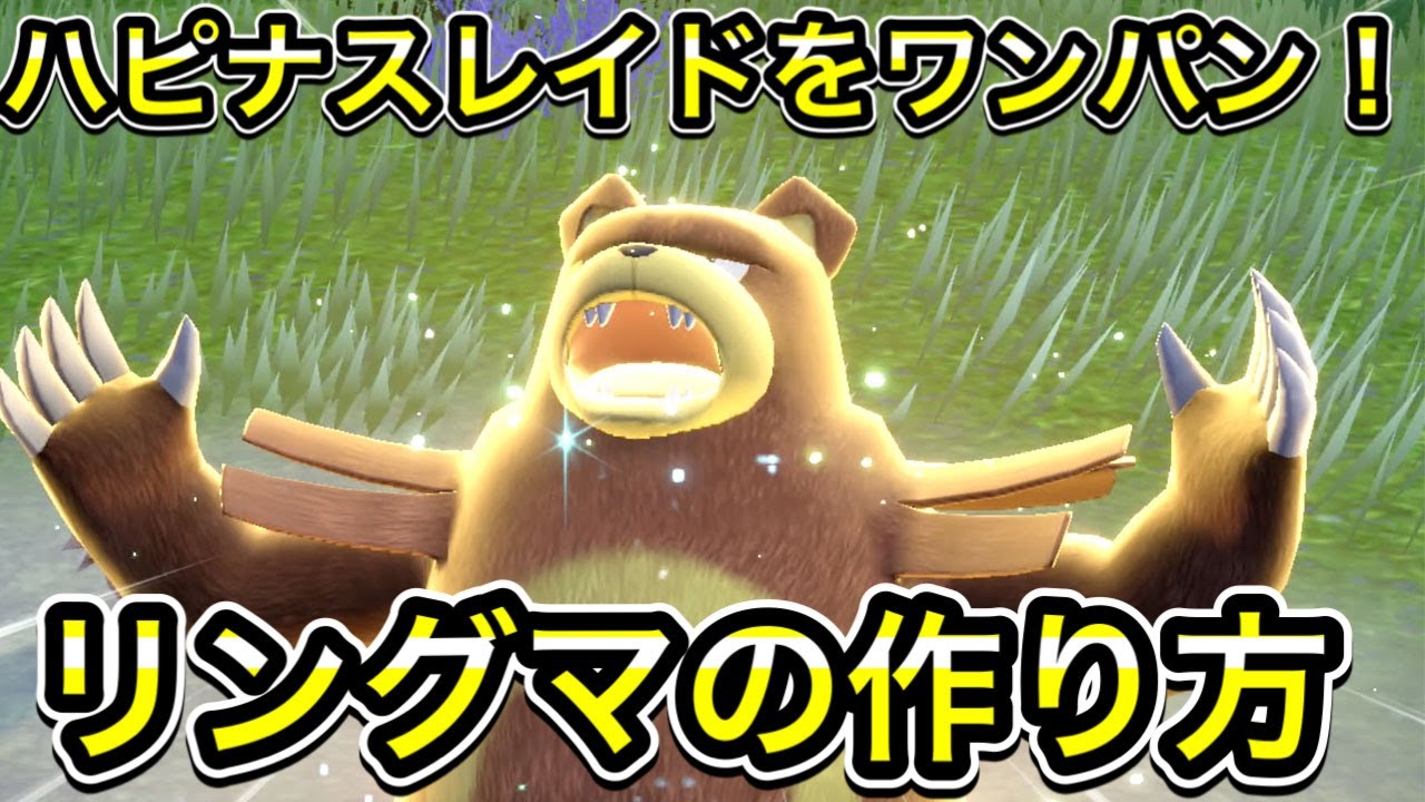 【ポケモンSV】ハピナスレイド対策のリングマの作り方！ソロでワンパン！