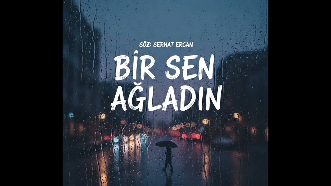 Bir sen ağladın