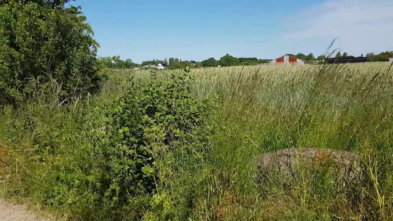 16. juni 2020 N&aelig;stved &ndash; Lagunestien