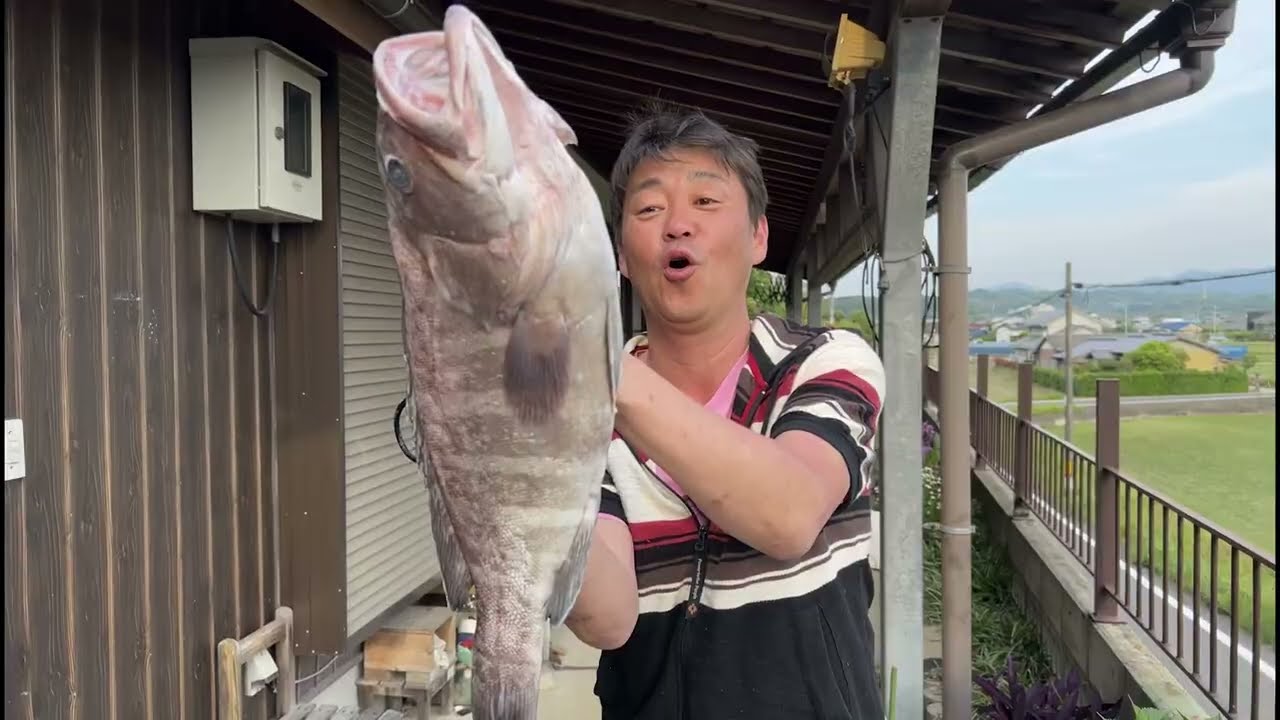 4kg超！マハタの捌き方 ｜高級魚マハタを15分で2枚おろしにする方法 4K