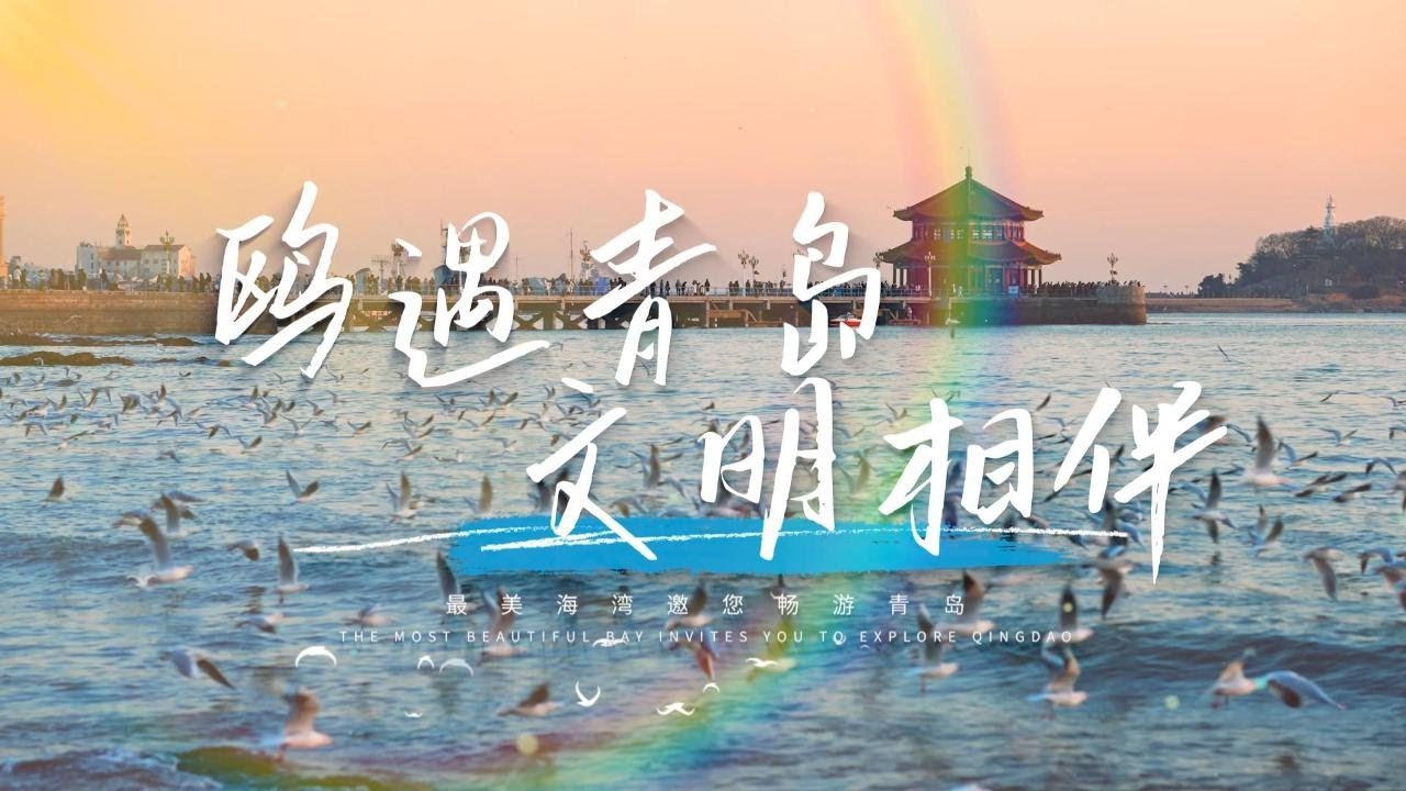 Discover Qingdao's coastal charm 鸥遇青岛 文明相伴