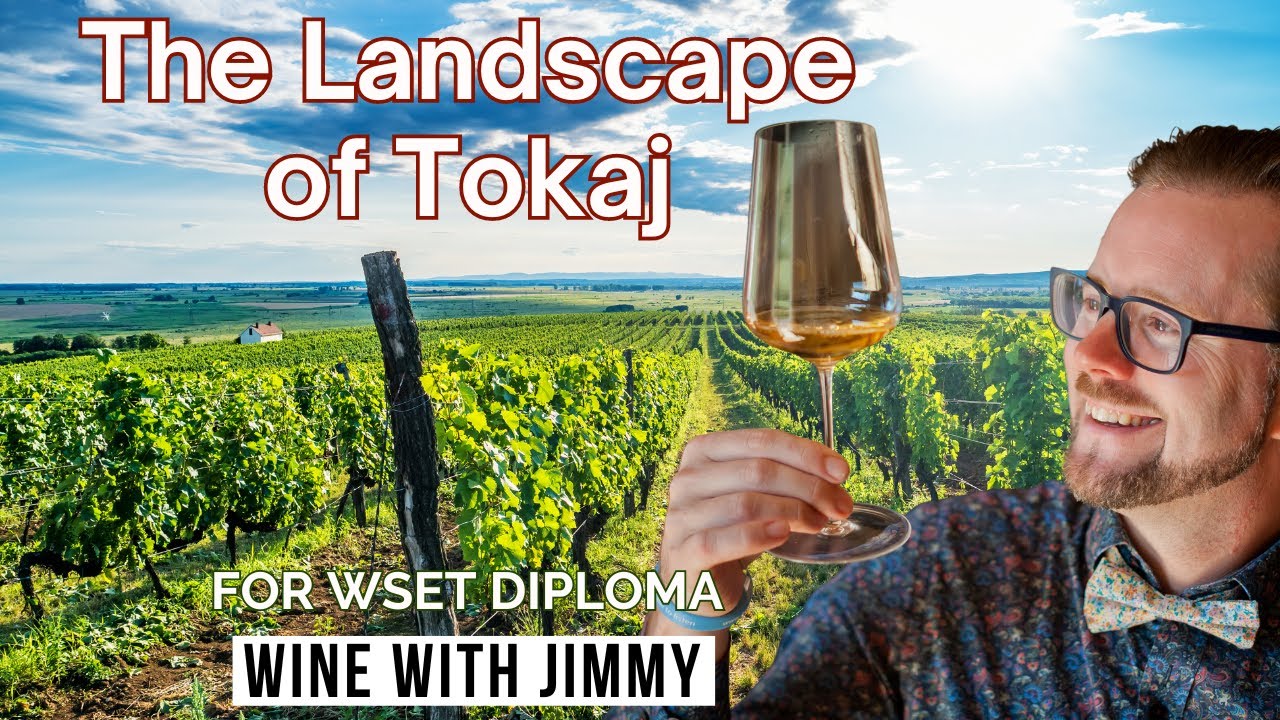 Изучение климата, геологии и виноградарства Токая, Венгрия (курс WSET Level 4, диплом)