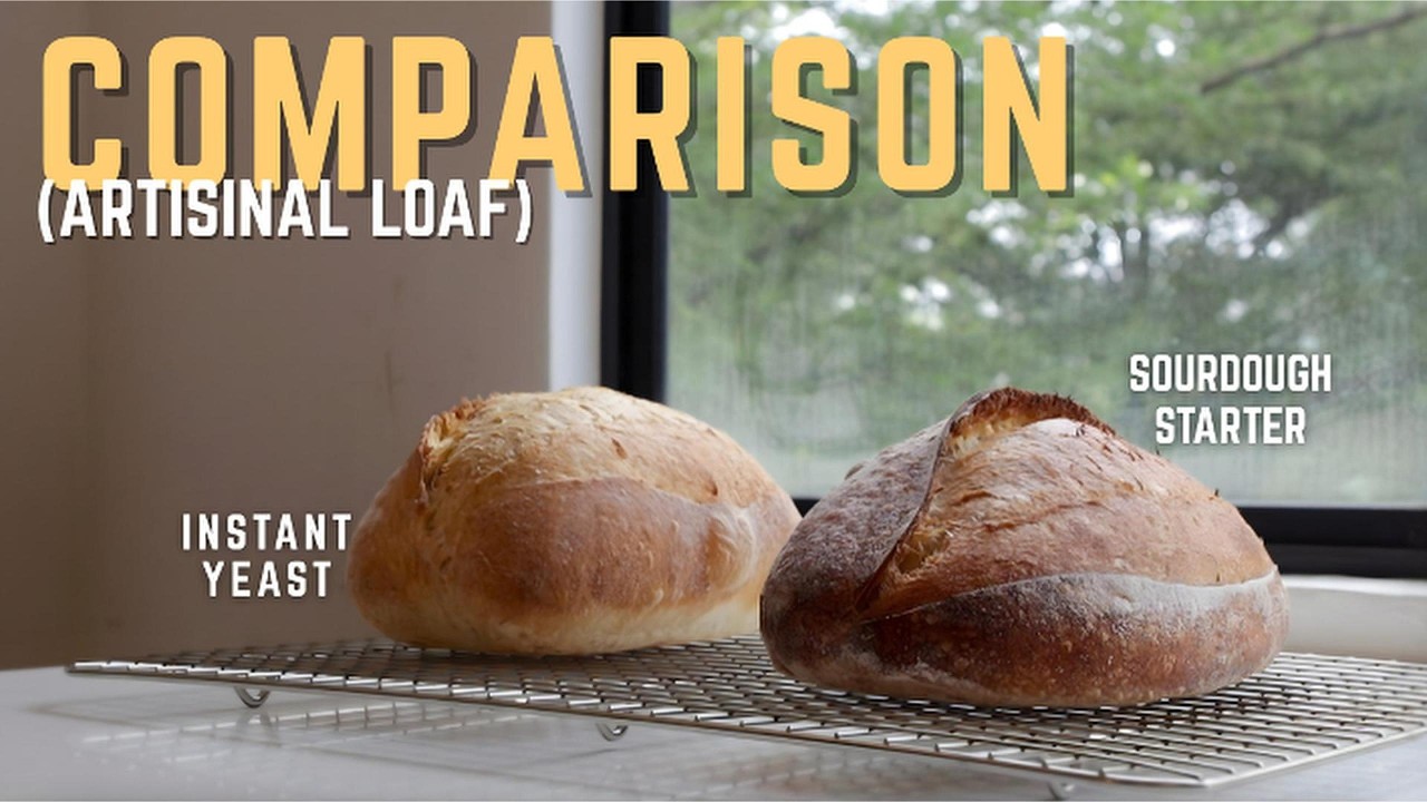 Sourdough vs Yeast Bread | Which Artisan Bread Is Better?