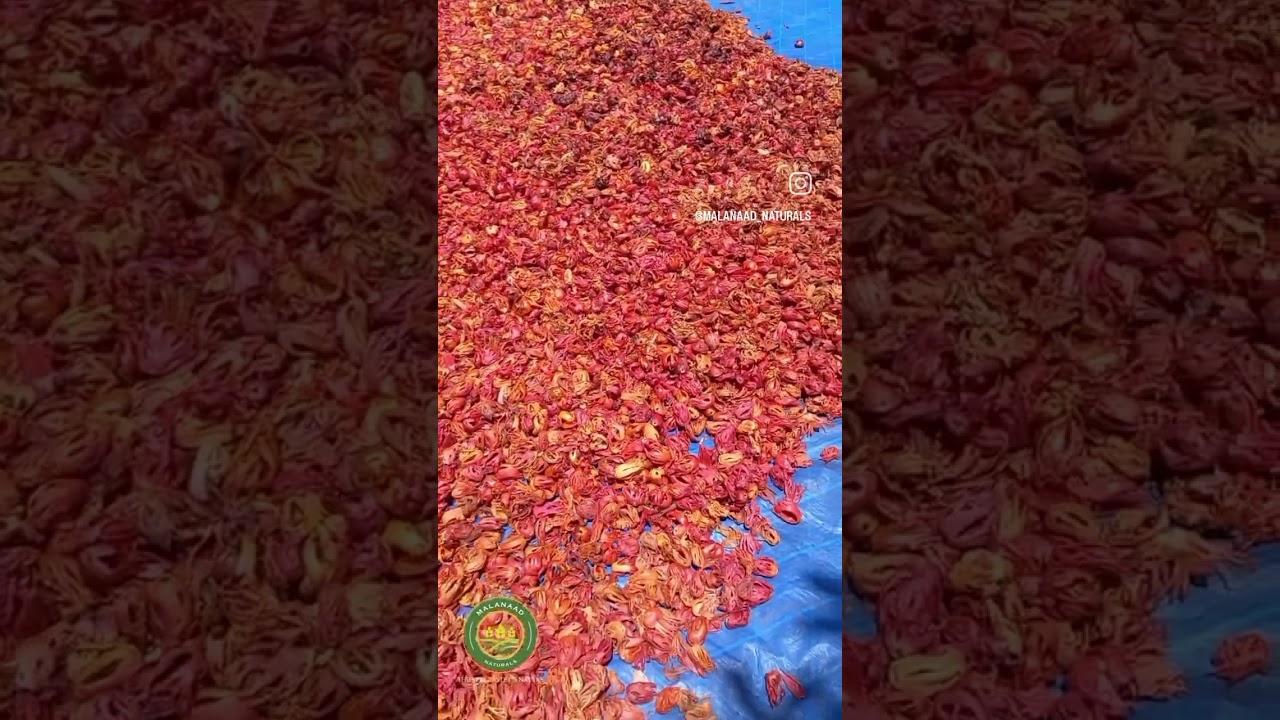 Kerala Nutmace,