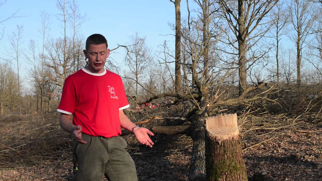 Recreating The Neolithic Toolkit