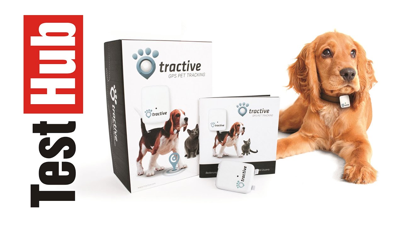Tractive GPS dla psa i kota - Test - Recenzja - Prezentacja