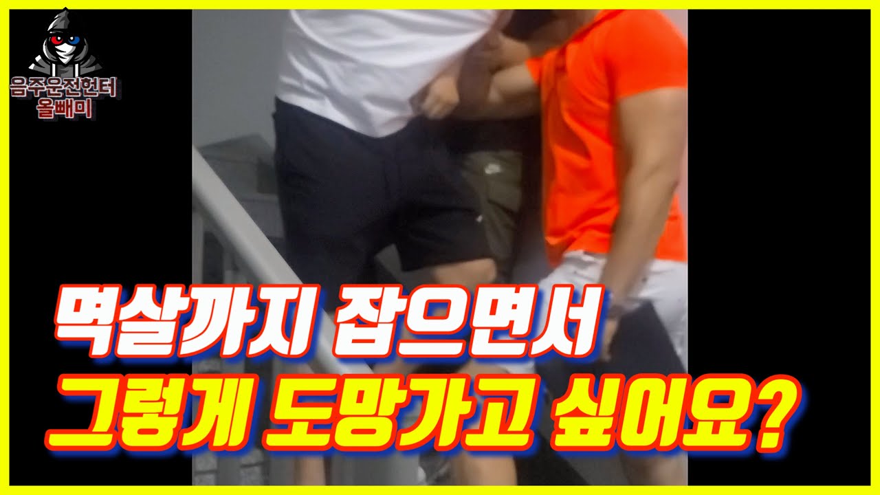 [삽교호/성정동] 요즘은 다 면허취소구나..