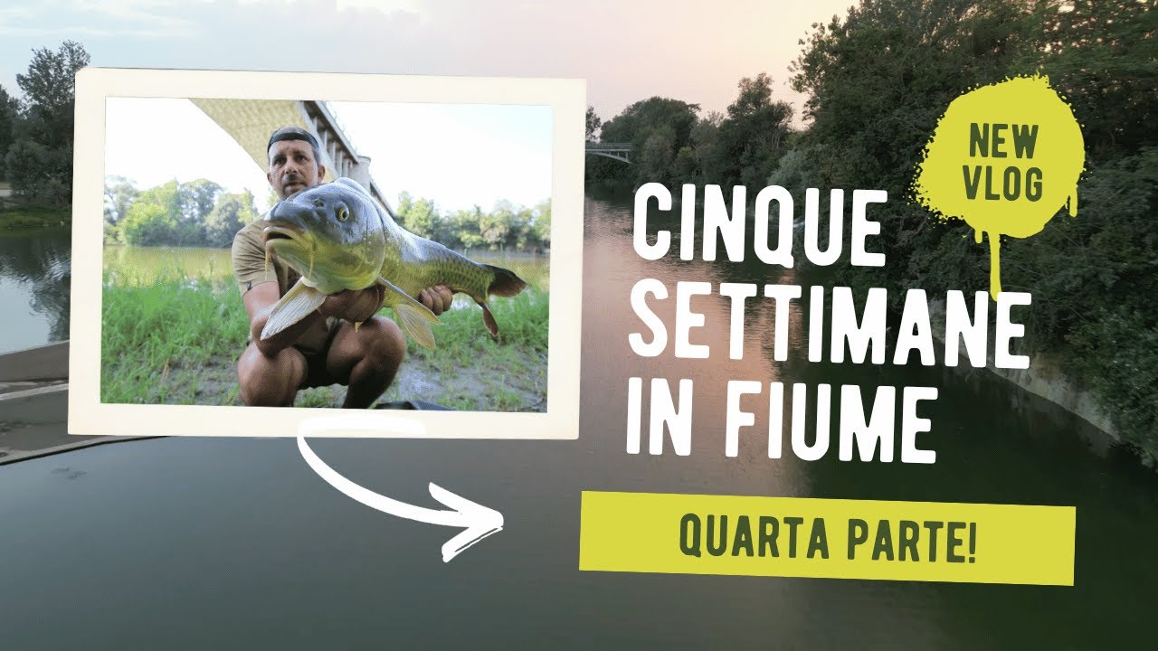 Cinque settimane in fiume....Con esche alternative....🐋🐋🐋QUARTA PARTE!