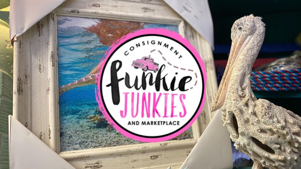 Cool Live Shopping Experience  | Funkies Junkies