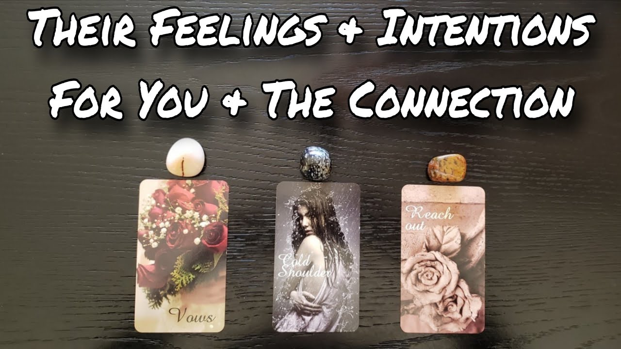 🤯💕 Their Current Feelings & Intentions For You & This Connection 💗💘 Pick A Card Love Reading 