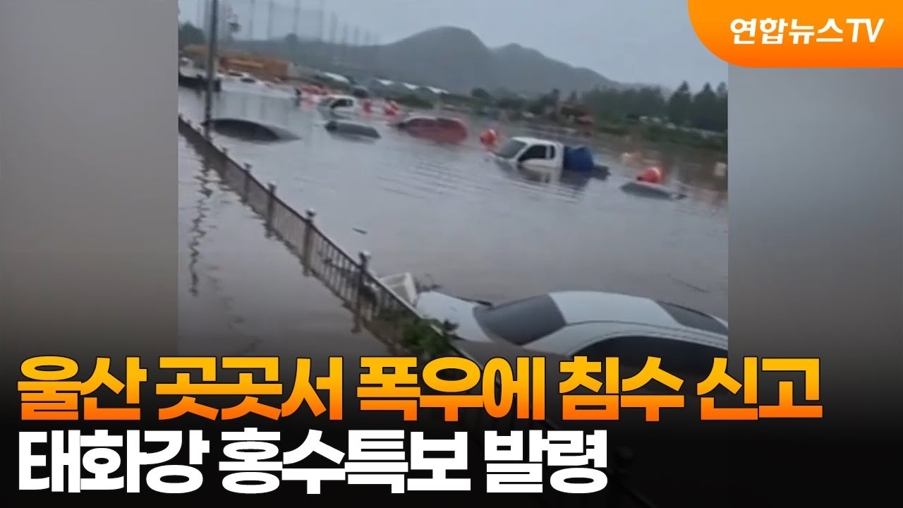 울산 곳곳서 폭우에 침수 신고…태화강 홍수특보 발령 / 연합뉴스TV (YonhapnewsTV)