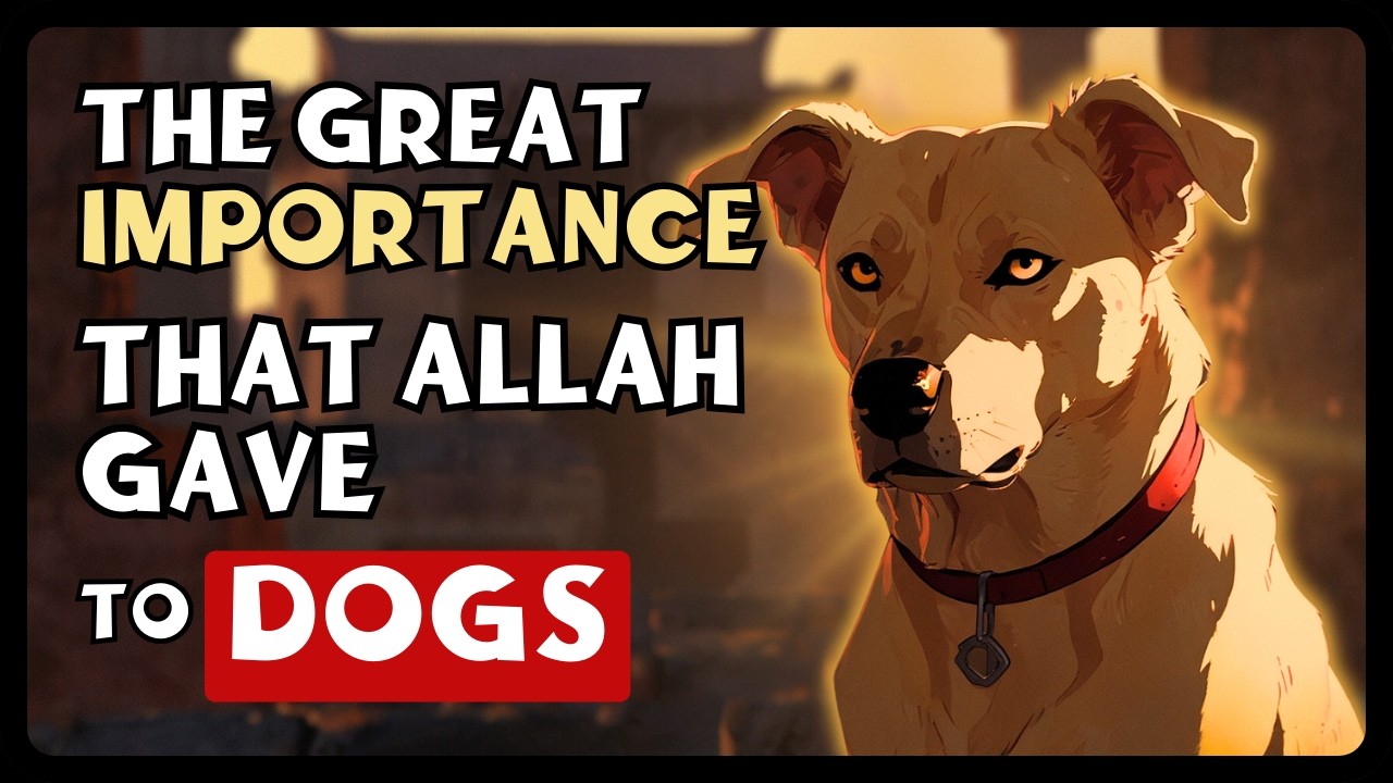 The SURPRISING Role of DOGS in Islam? | Umma Islam