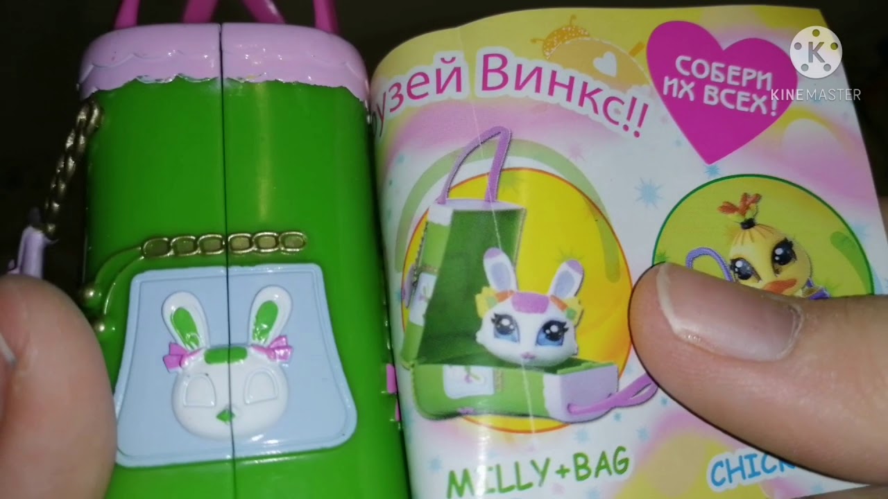 Обзор на сумочки Love&pet, тайный дневничок и альбом для фото WINX