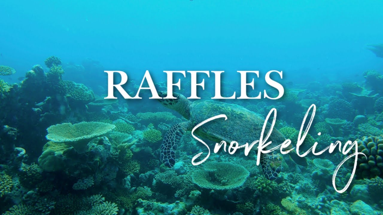 SNORKELING AT RAFFLES MALDIVES 2023 🐠🐟 Is this the Best House Reef in the Maldives?