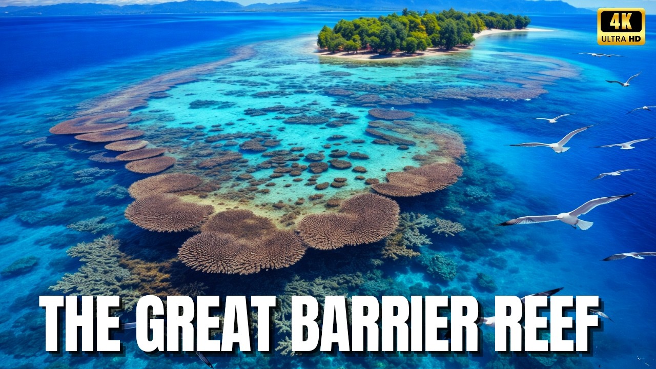 The Beating Heart of the Ocean: Inside the Great Barrier Reef
