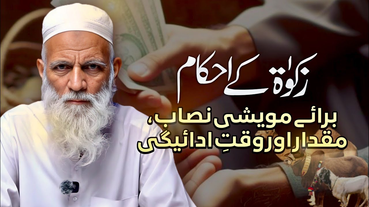 Maweshi Ki Zakat Ka Nisab Kya Hai? | Miqdar Aur Waqt-e-Adaigi | Zakat Ke Ahkam | Masail-e-Zakat