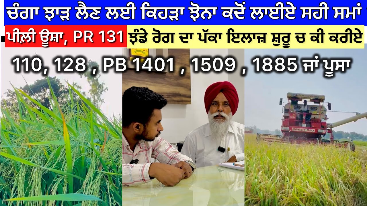 ਕਿਹੜਾ ਝੋਨਾ ਕਦੋਂ ਲਾਈਏ , ਐਤਕੀ ਲੱਭ ਕਿਹੜੀ ਕਿਸਮ ਲਾਉਣ ਦਾ ਫ਼ਾਇਦਾ PADDY VIDEO 2025