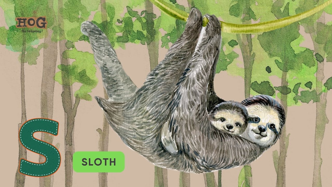 ABC Animals Song | Jungle series | Learn Alphabets, English and Animals for Kids